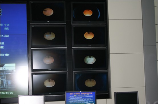 新疆天業：科技提升本質安全水平